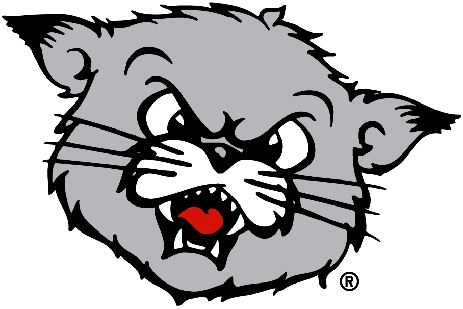 Cincinnati Bearcats 1990-2005 Alternate Logo 02 vinyl decal